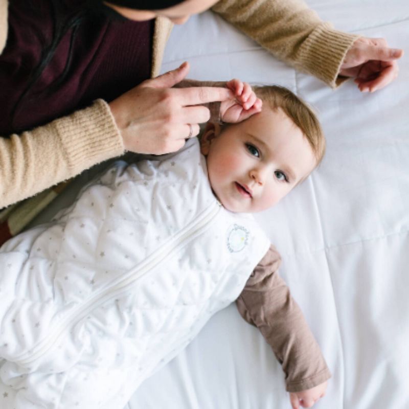 Dreamland Baby Weighted Sack Wearable Blanket - 6-12 months