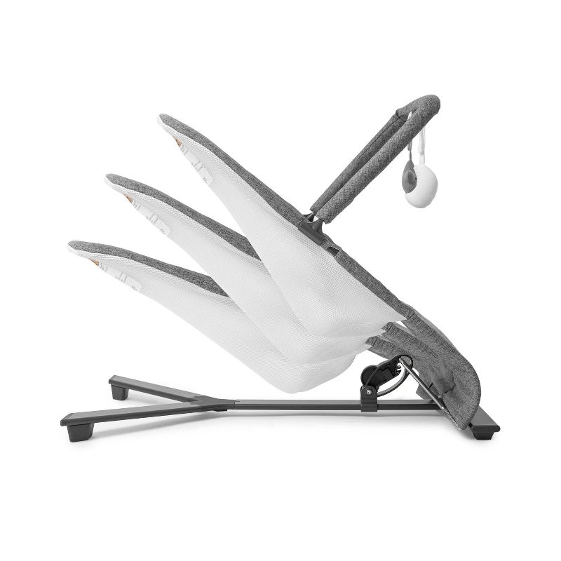 ​Fisher-Price Baby Bouncer