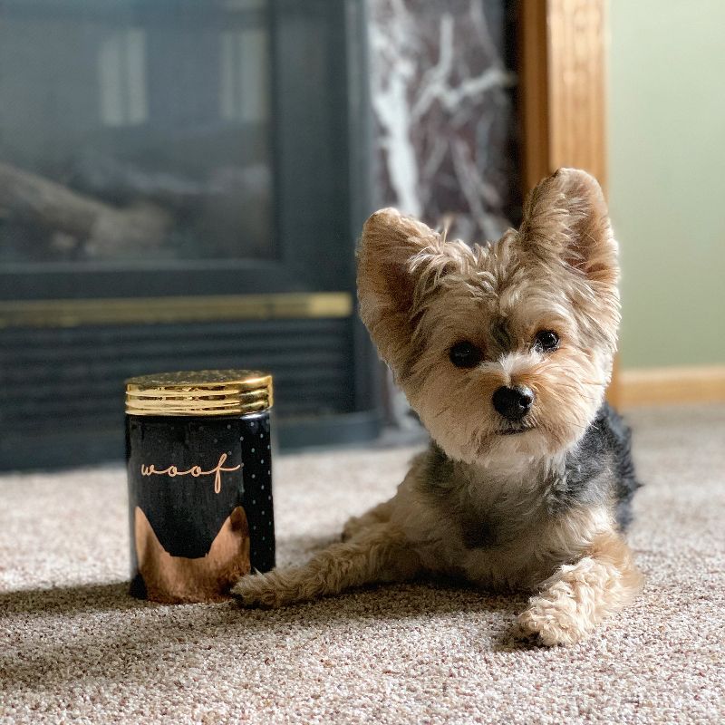 Amici Pet Woof & Meow Black with Gold Accents 18 & 24 oz Ceramic Treats Canisters, 2 Size Set