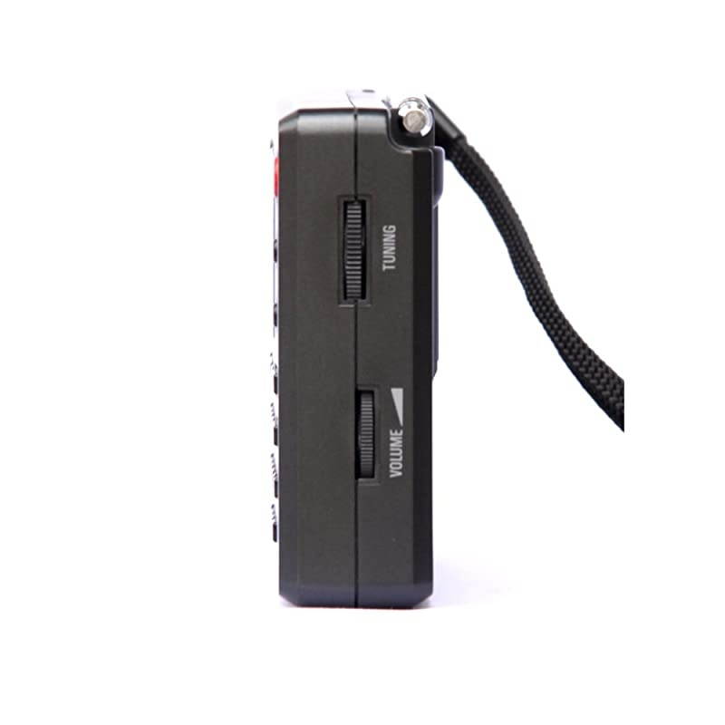 PL380 DSP FM Stereo MW SW LW World Band PLL Radio Receiver LCD Display ETM Function Added