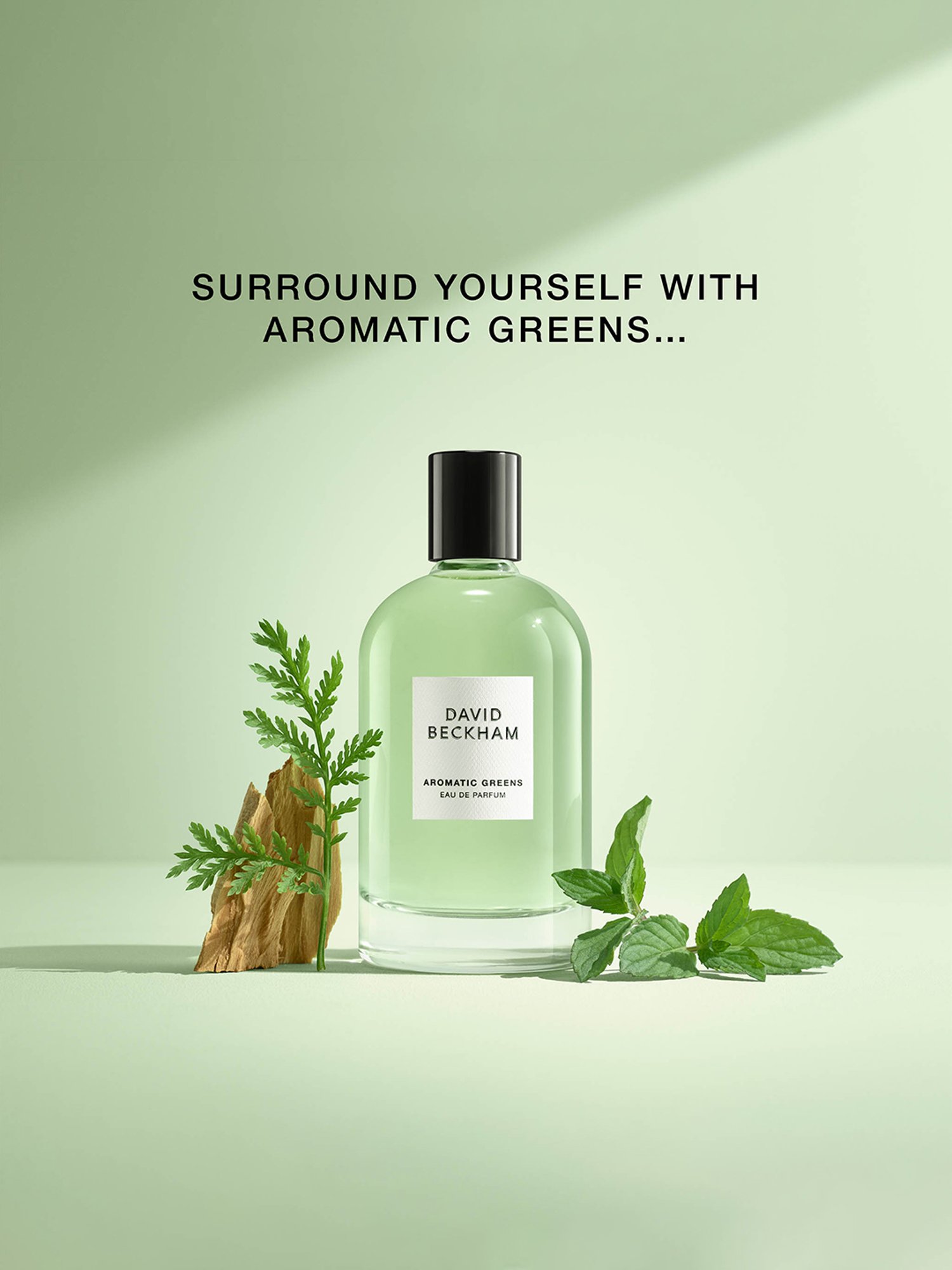 DAVID BECKHAM Aromatic Greens Eau de Parfum for Men - 100 ml