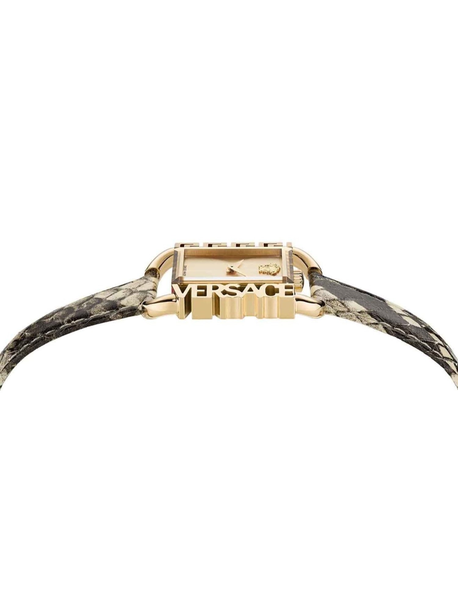 Versace VE3B00122 Flair Unisex Analog Watch