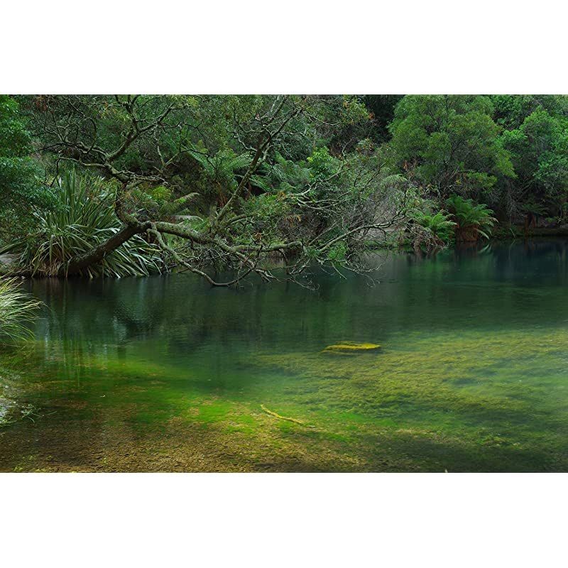 K-70 Weather-Sealed DSLR Camera, Body Only (Silver)