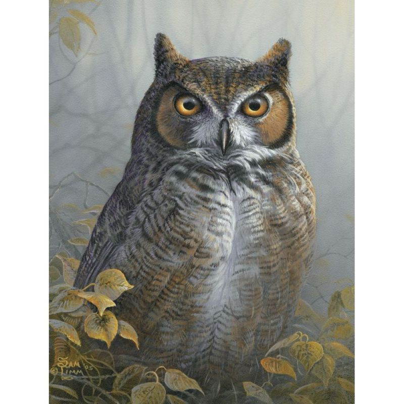 Willow Creek Press,  Watchful Eye 1000pc Puzzle