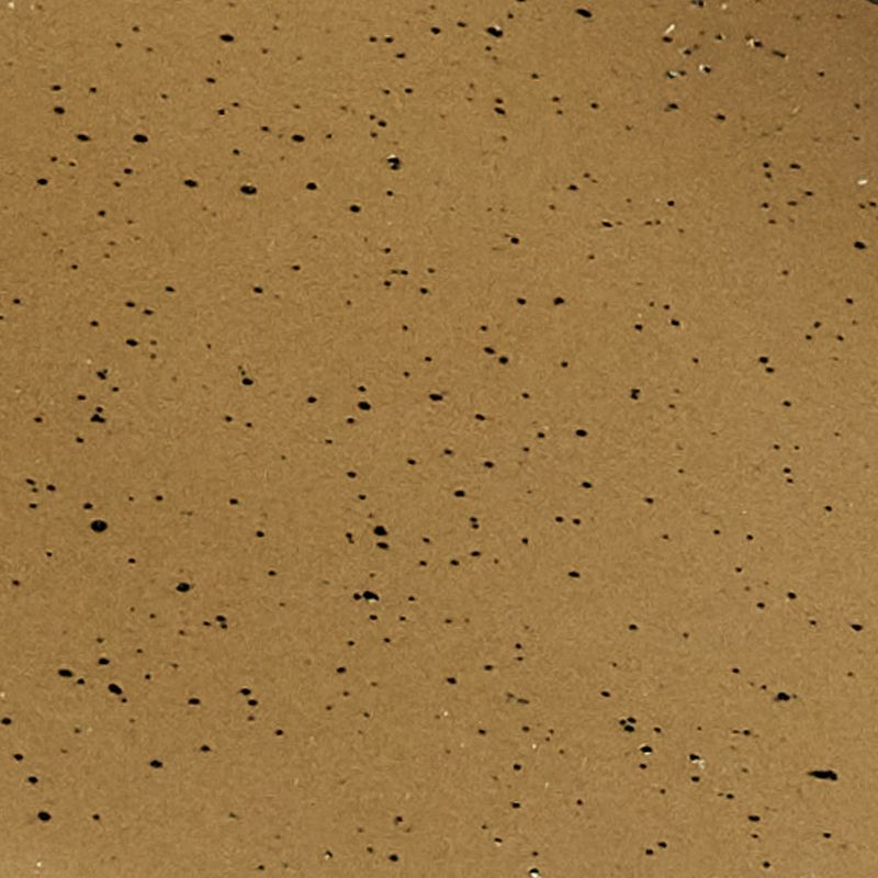 Park Designs Sawmill Mug Set - Tan