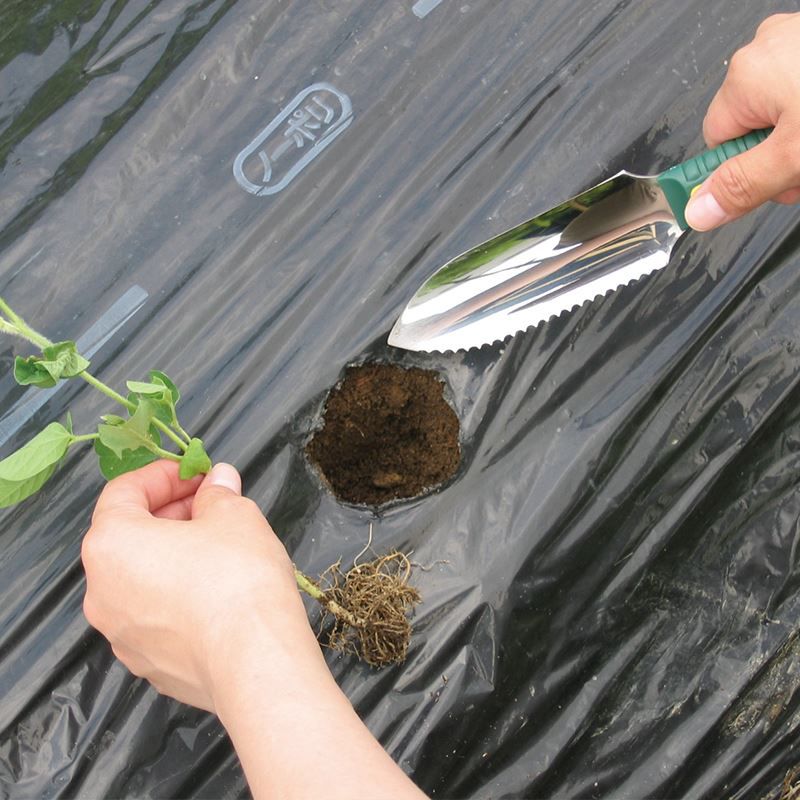 Earthquake 3-Inch Fishtail Point Earth Auger Bit & Earthquake 2-Inch Auger Bit