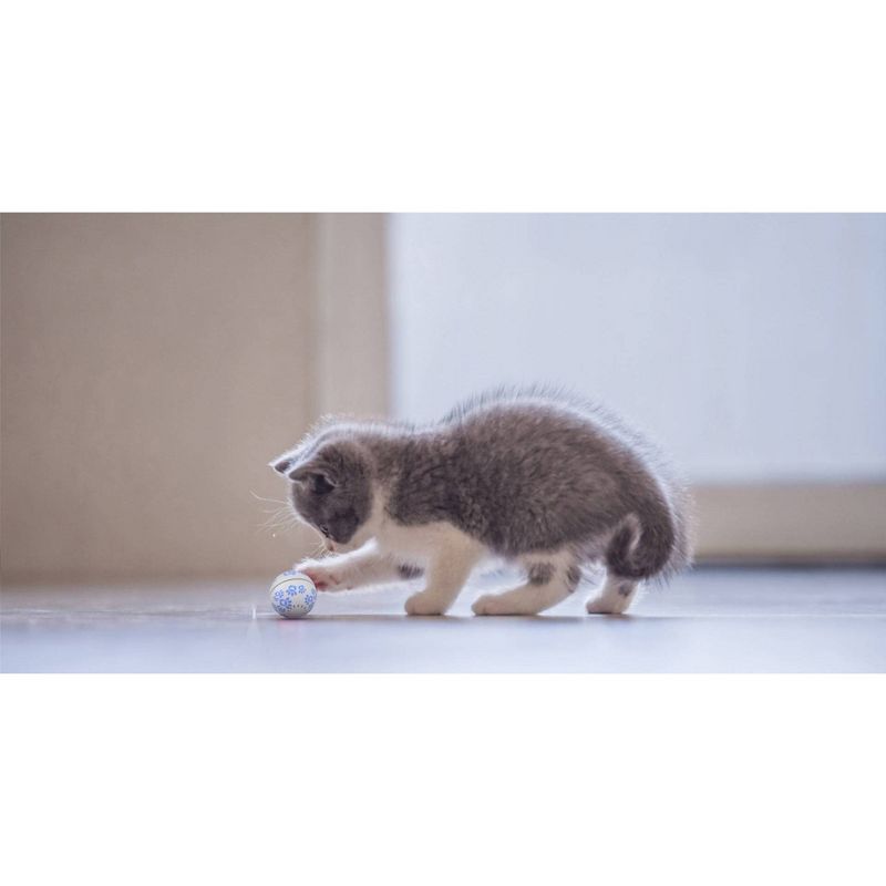 Pet Genius Smart Pet Play Ball