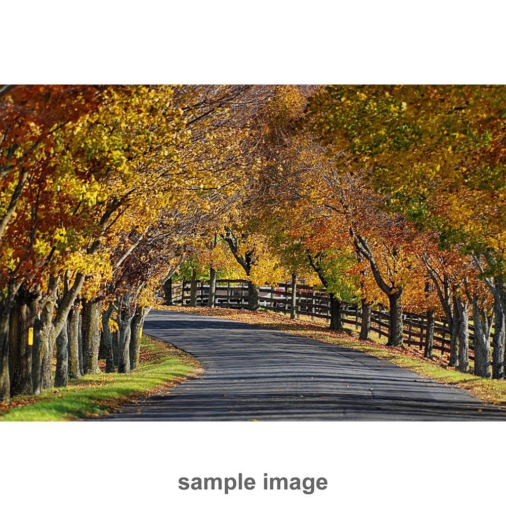 Pentax HD DA 20-40mm F2.8-4 ED Limited DC WR Zoom Lens - Black #23000