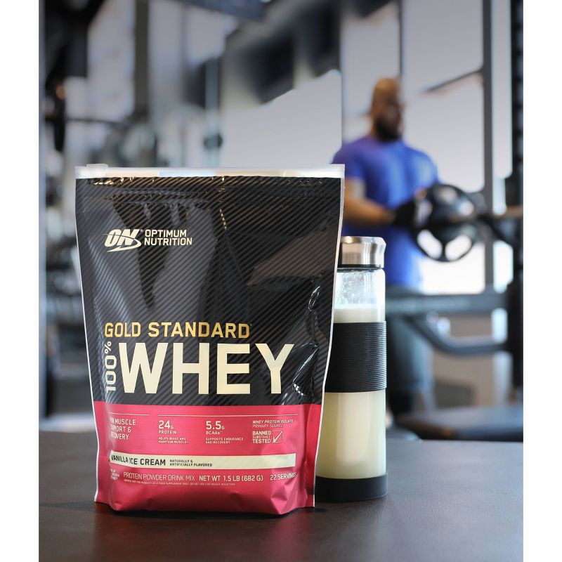 ON 100% Gold Standard Whey - Double Rich Chocolate - 24oz