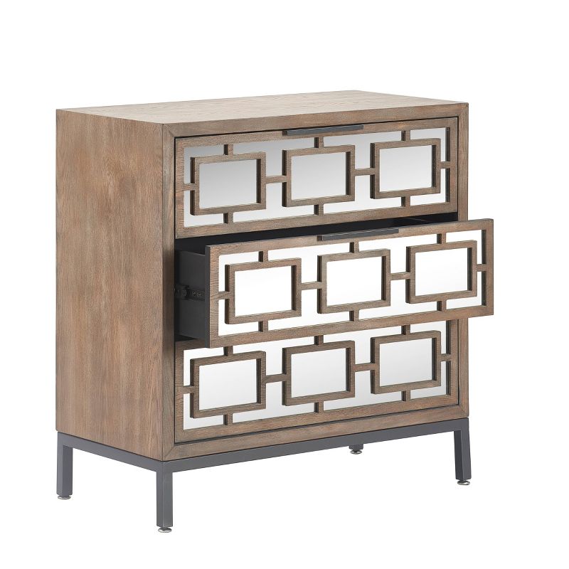 Hayworth 3 Drawer Mirrored Chest Gray - Finch