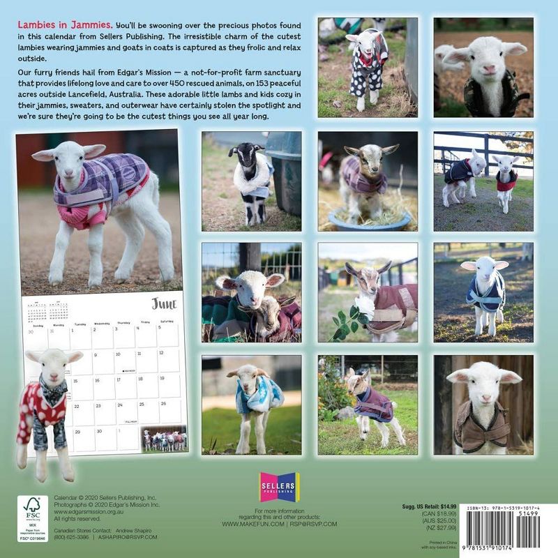 Sellers Publishing 2021 Lambies in Jammies & Goats in Coats 16-Month Wall Calendar Edgar's Mission Inc.