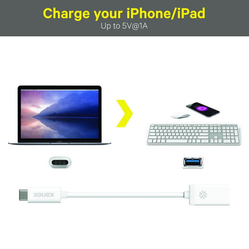 Kanex KU3CA107I Adapter