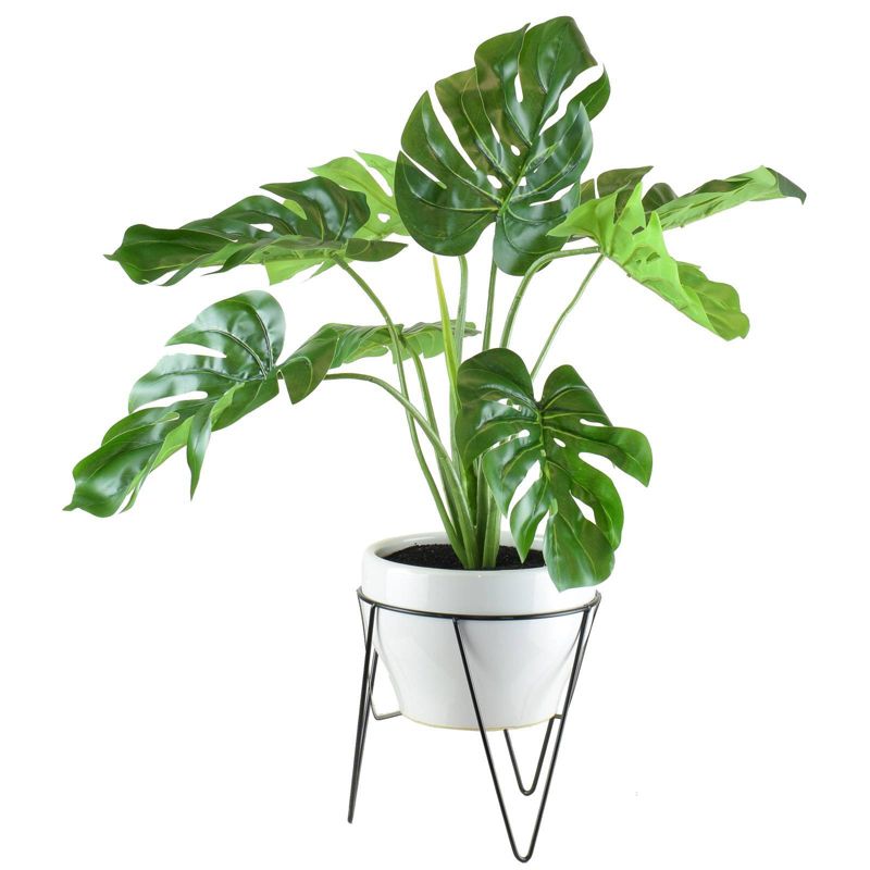 28" x 18" Artificial Monstera in Mid Century Stand White - LCG Florals