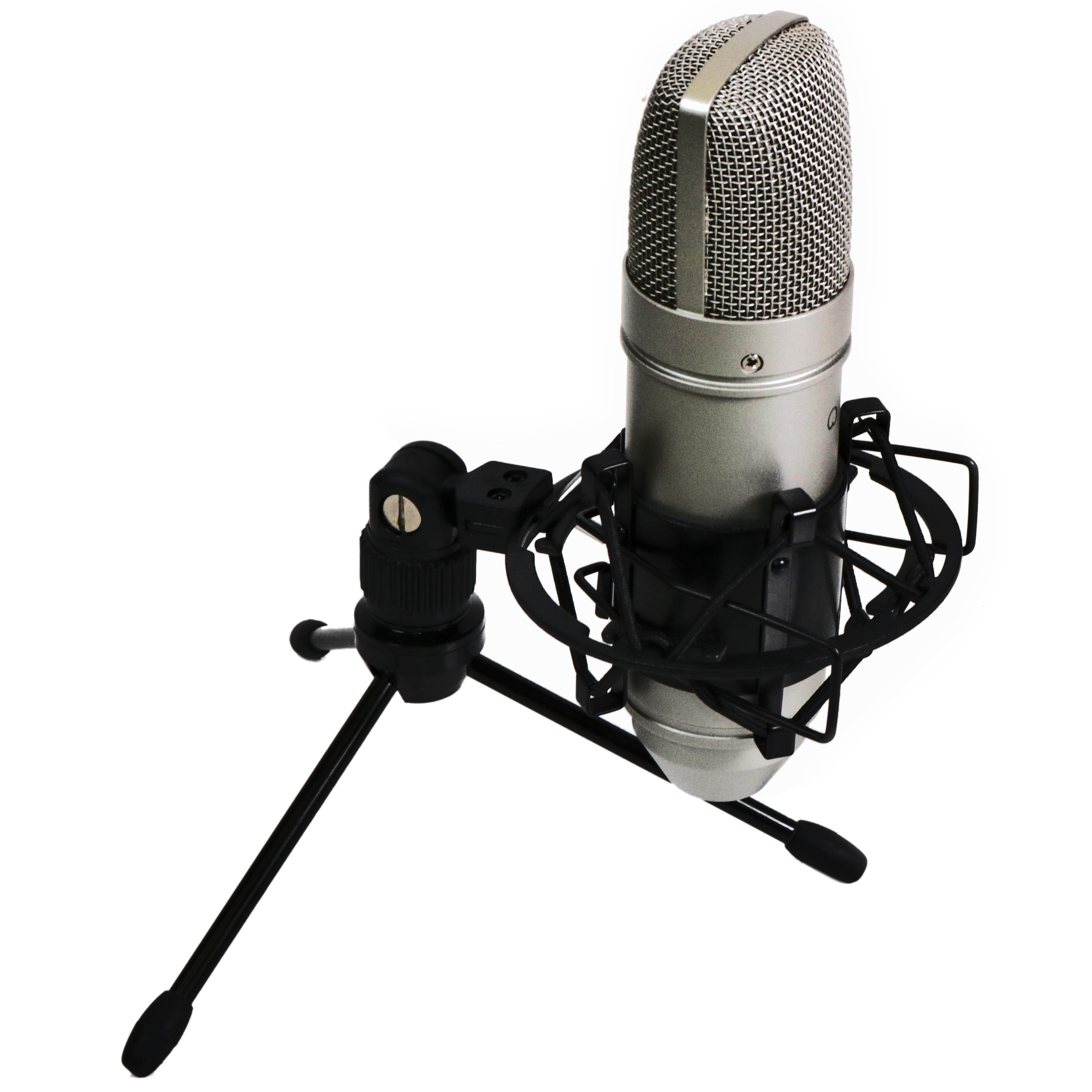 Tascam TM-80 Large Diaphagm Condenser Studio Microphone w/ Shock Mount & Tripod