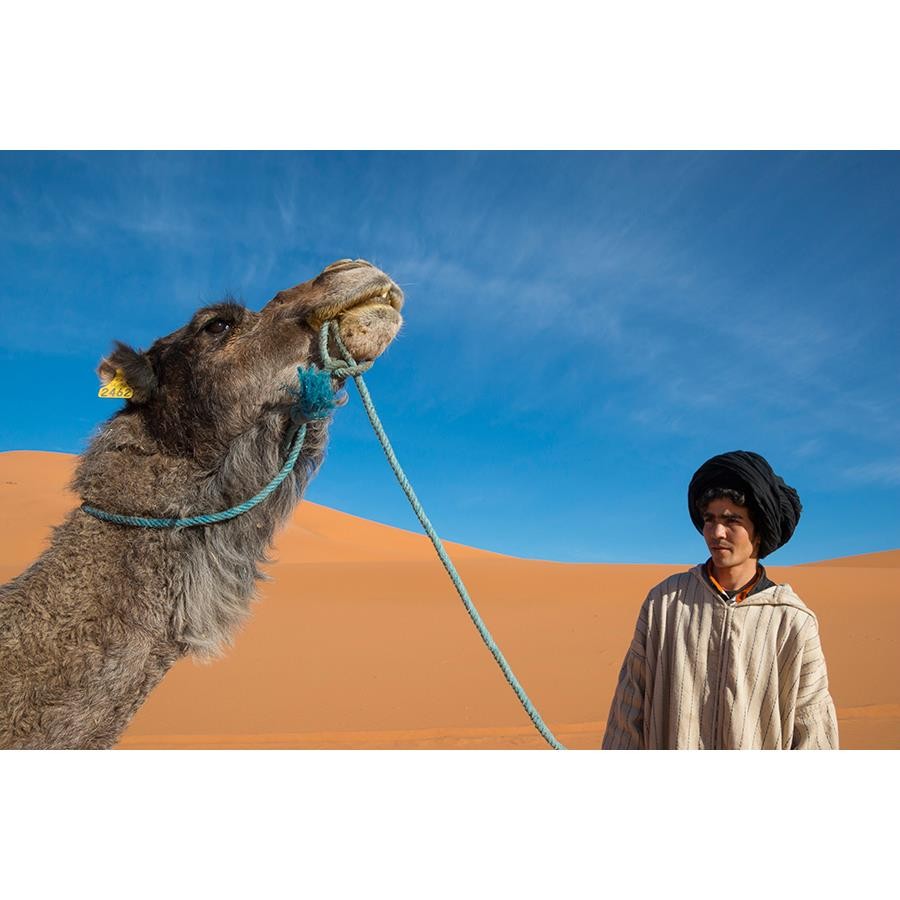 Tamron 16-300mm f/3.5-6.3 Di II VC PZD MACRO Lens for Canon