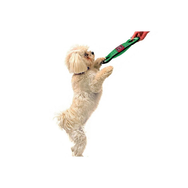 NCAA South Carolina Gamecocks Dog Toy Gift Set - 2pk