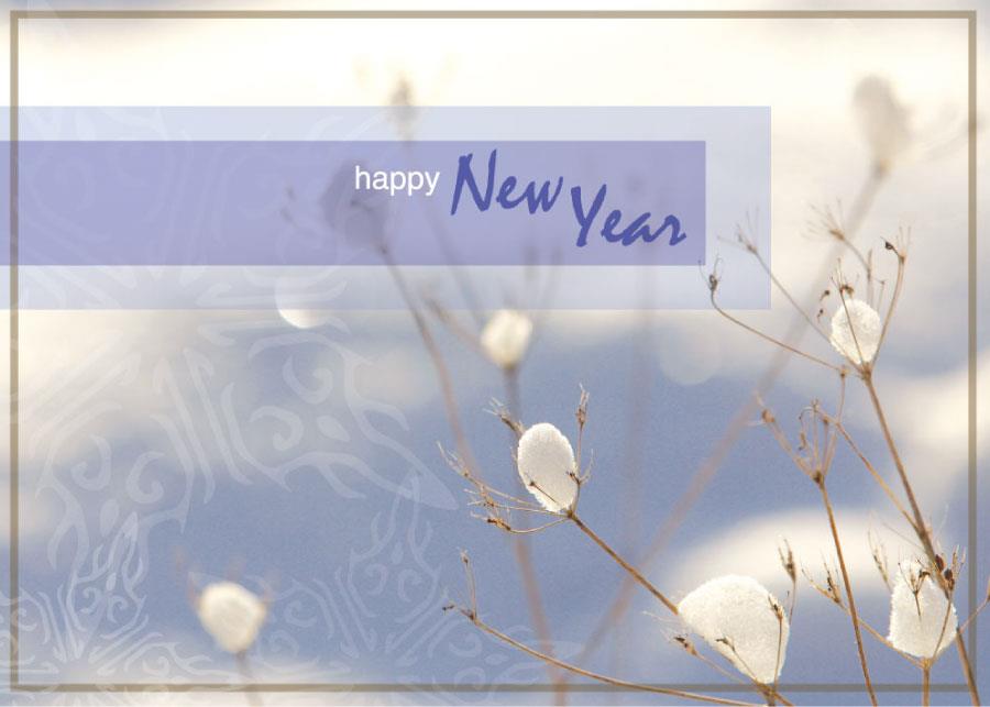 New Year Greeting Cards - N9004. Greeting Cards Featuring a Winter Image With Happy New Year. Box Set Has 25 Greeting Cards and 26 White with Silver Foil Lined Envelopes.