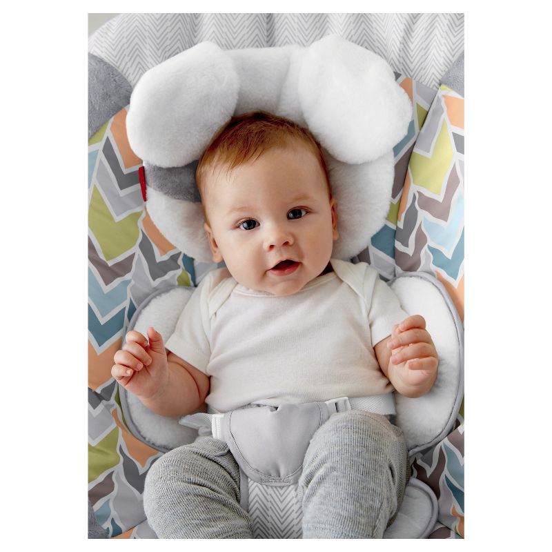 ​Fisher-Price Baby Bouncer