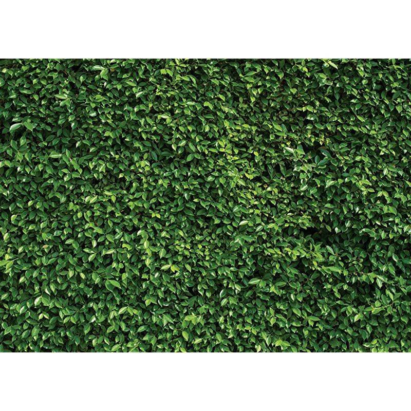 7X5ft Green Leaves Backdrop Grass Backdrop Natural Green Lawn Party Photography Backdrop Birthday Newborn Baby Lover Wedding Photo Studio Props 10923