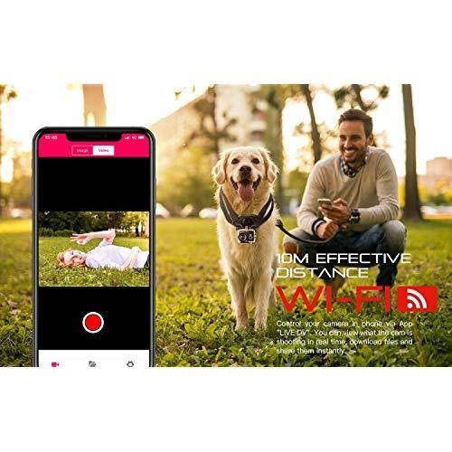 4K 20MP WiFi Action Camera External Microphone Remote Control EIS Stabilization Underwater 40M Waterproof Sport Camera Time Lapse with 2X1200mAh Batteries and 20 Accessories