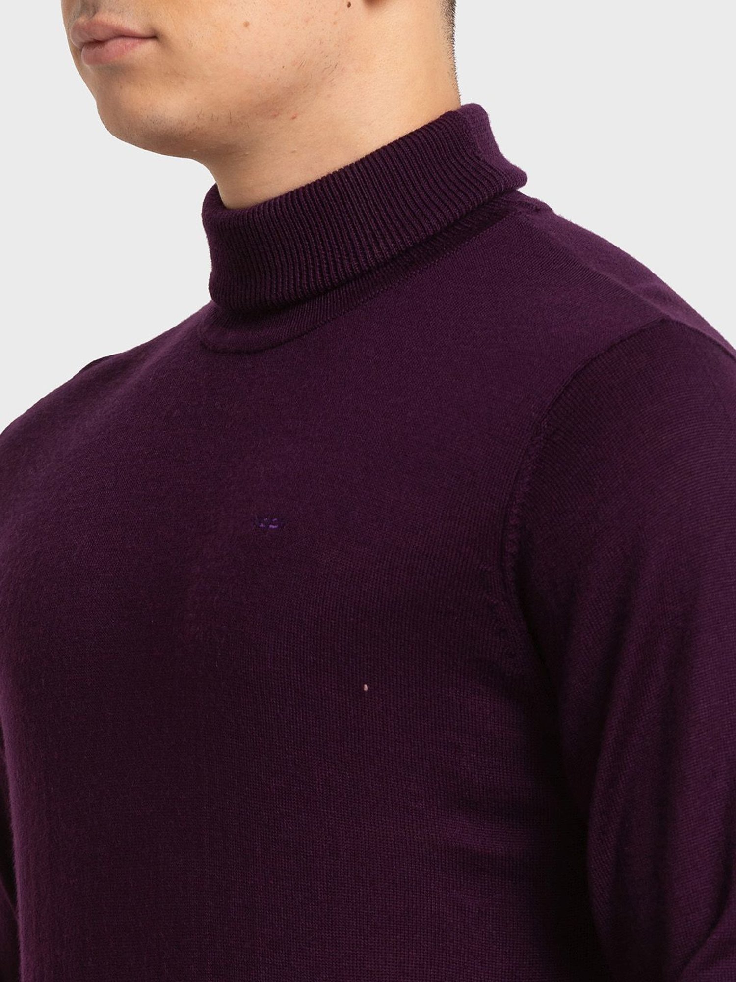 ColorPlus Purple Tailored Fit Sweaters