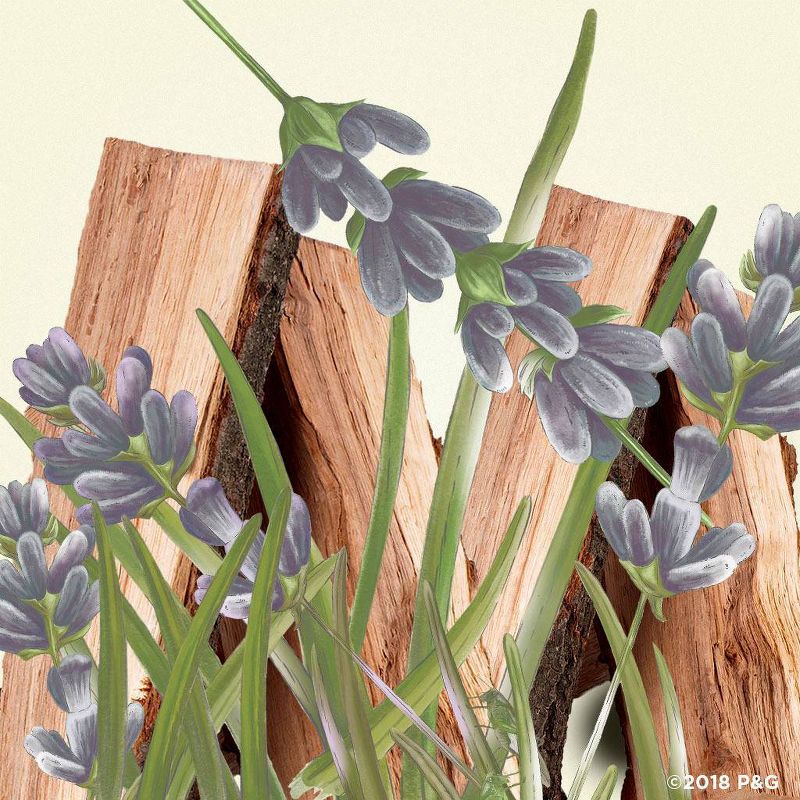 Old Spice Fresher Collection Wilderness Invisible Solid Antiperspirant & Deodorant - 2.6oz