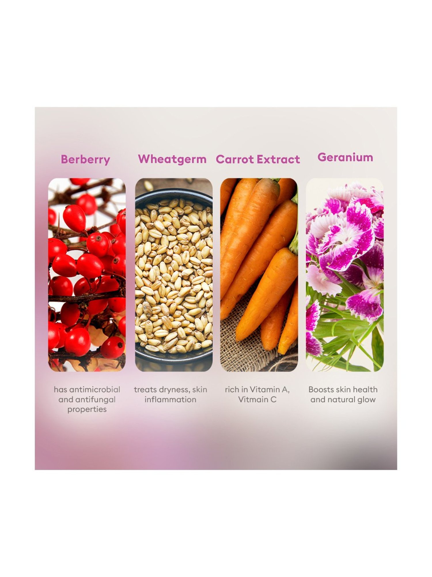 VLCC Skin Tightening Facial Kit (6 Facials) - 240 gm + 12 ml