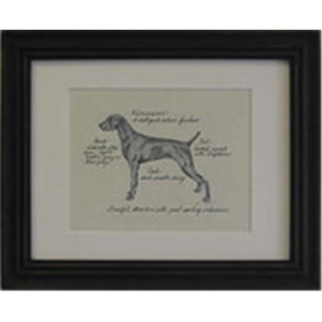 Clapper Hollow HC102 Weimaraner Framed Print