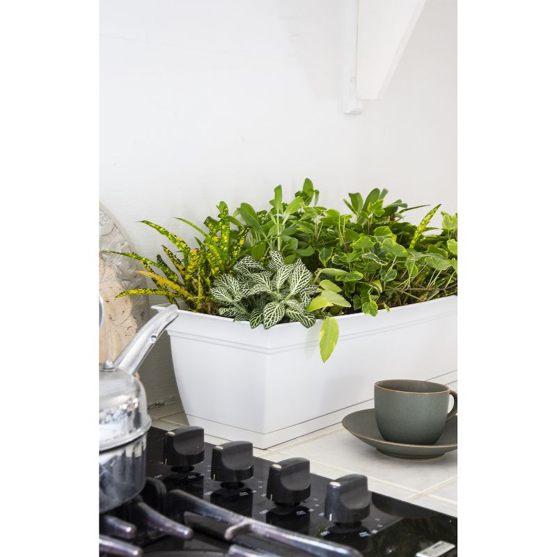 The HC Companies ECW30000G18 Indoor Outdoor 30 Inch Eclipse Series Window Flower Garden Ornamental Planter Box with Removable Attached Saucer, Black