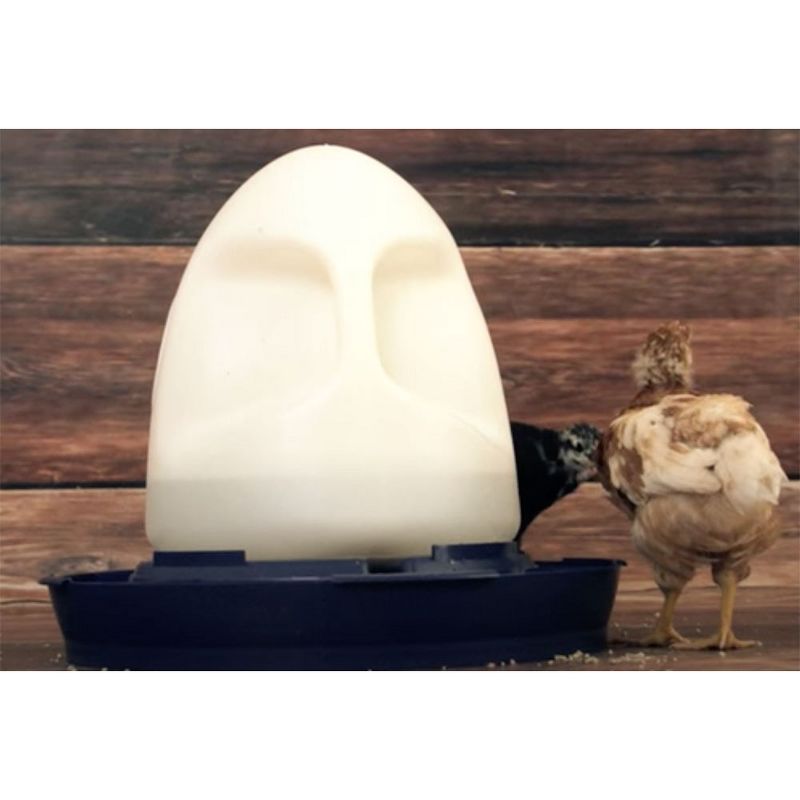 K&H Pet Products 2061 Thermo Heated Poultry Waterer with No Roost Top, Filtered Water Tray, Spill Proof Cap for Chickens & Birds, 2.5 Gallon Capacity