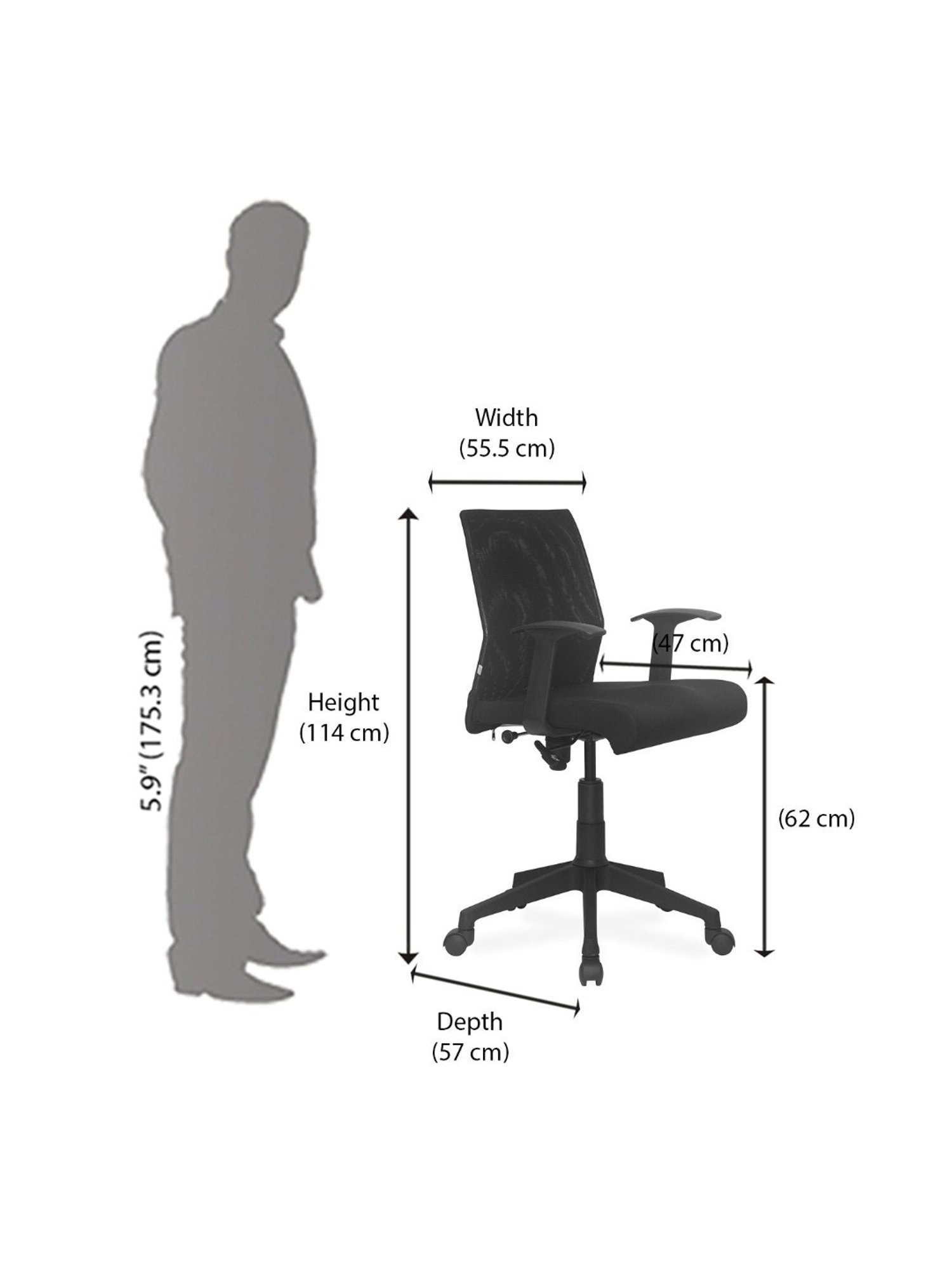 Nilkamal Thames Black Fabric Low Back Office Chair with Height Adjustable & Swivel