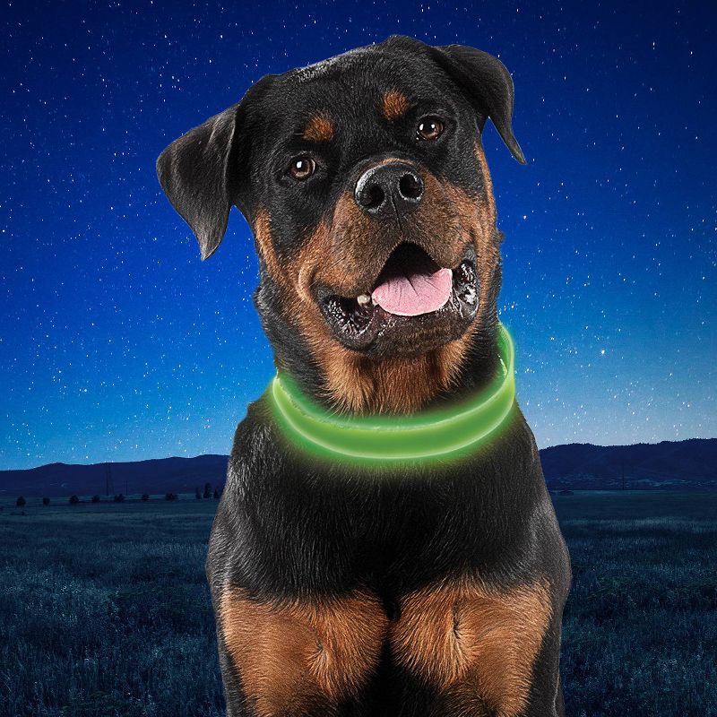 Nite Ize Nite Dog Rechargeable LED Dog Collar - XL - Lime/Green