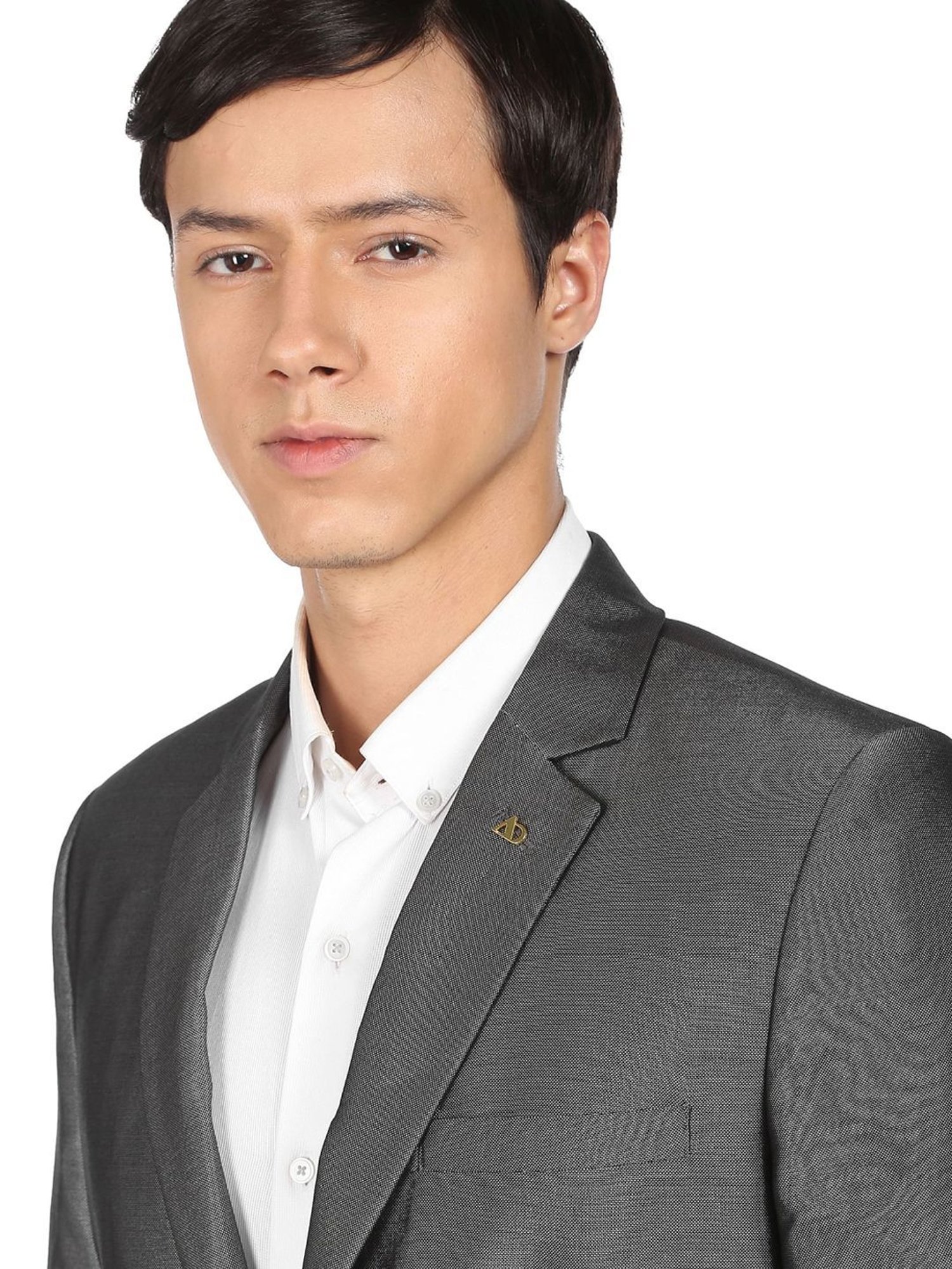 Ad By Arvind Grey Regular Fit Two Piece Suit