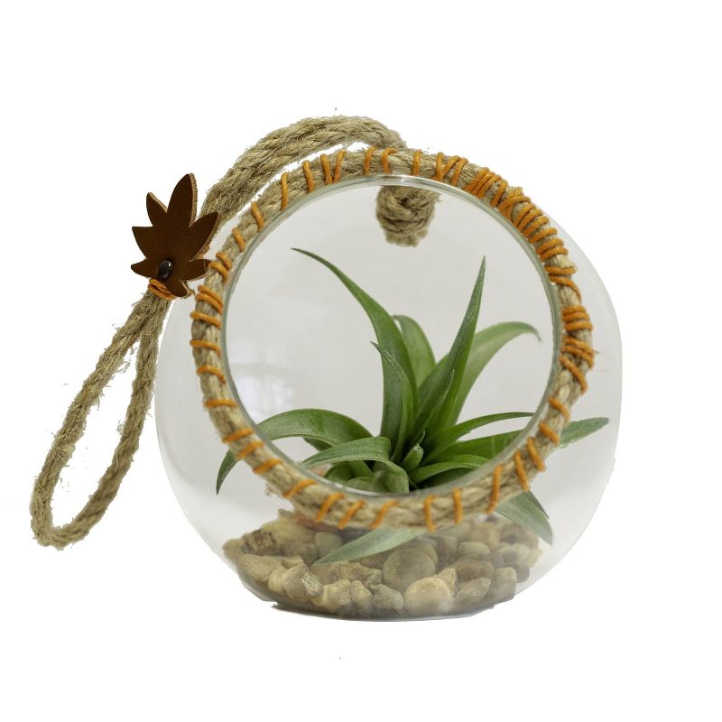 LiveTrends Glass Rope DIY Kit