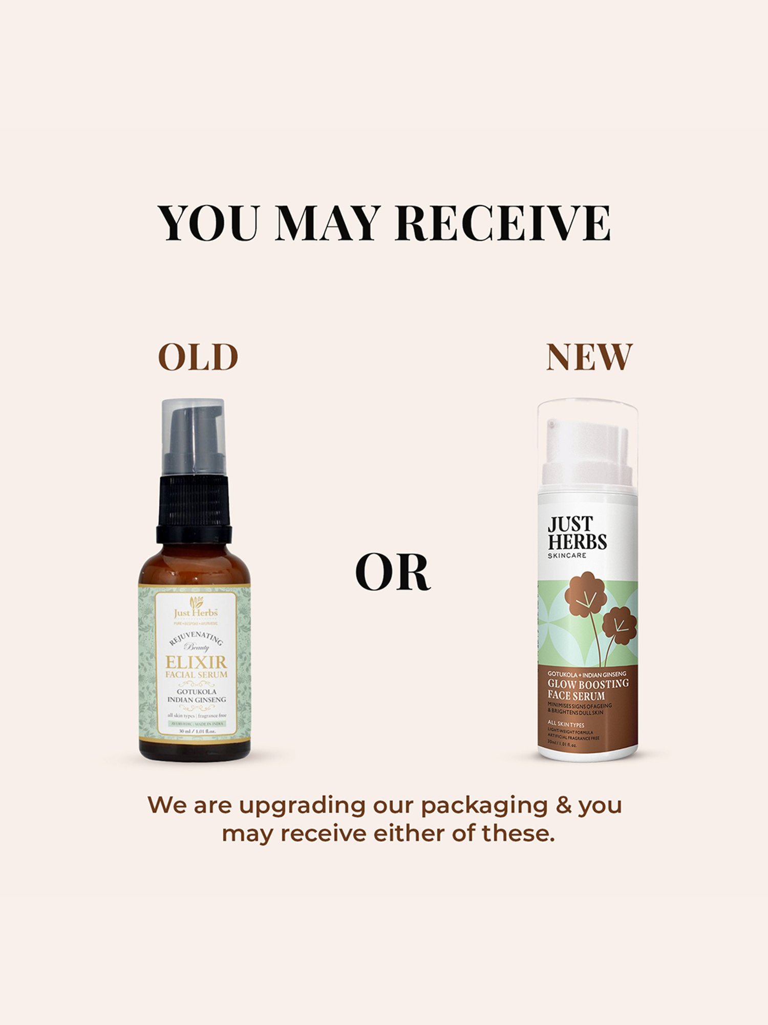 Deconstruct Brightening Serum with 10% Niacinamide & 0.3% Alpha Arbutin - 30 ml