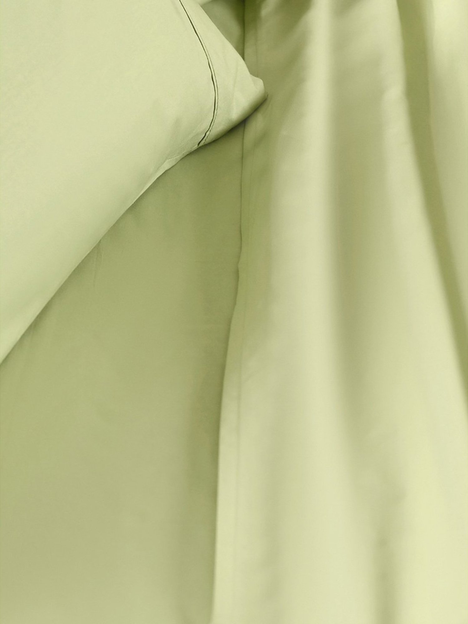 Maspar Colorart Eden Sage Green 144 TC Cotton King Bed Sheet With 2 Pillow Covers