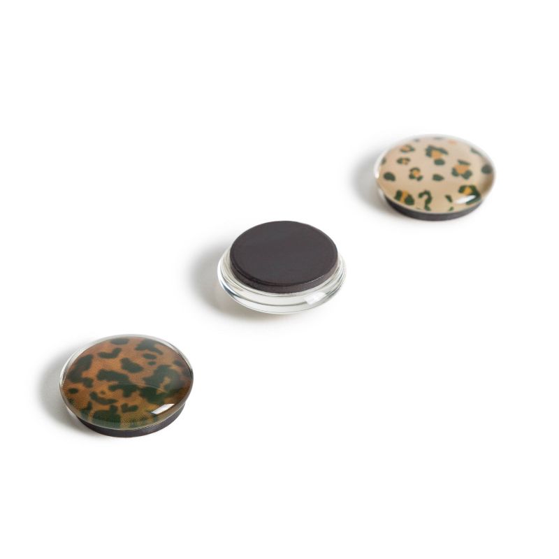 U Brands 6ct Glass Magnets - Can't Be Tamed