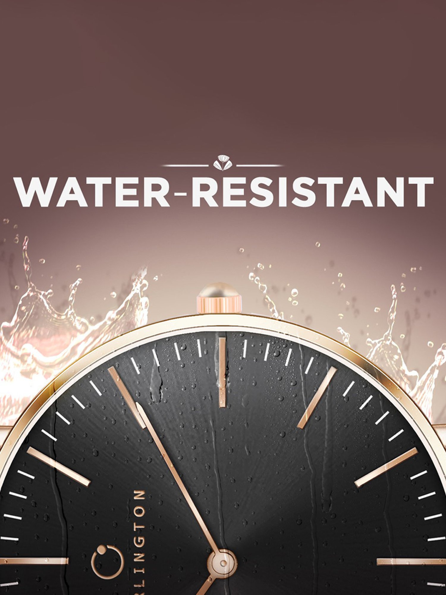 Carlington Iconic 2043 Black Analog Watch for Men