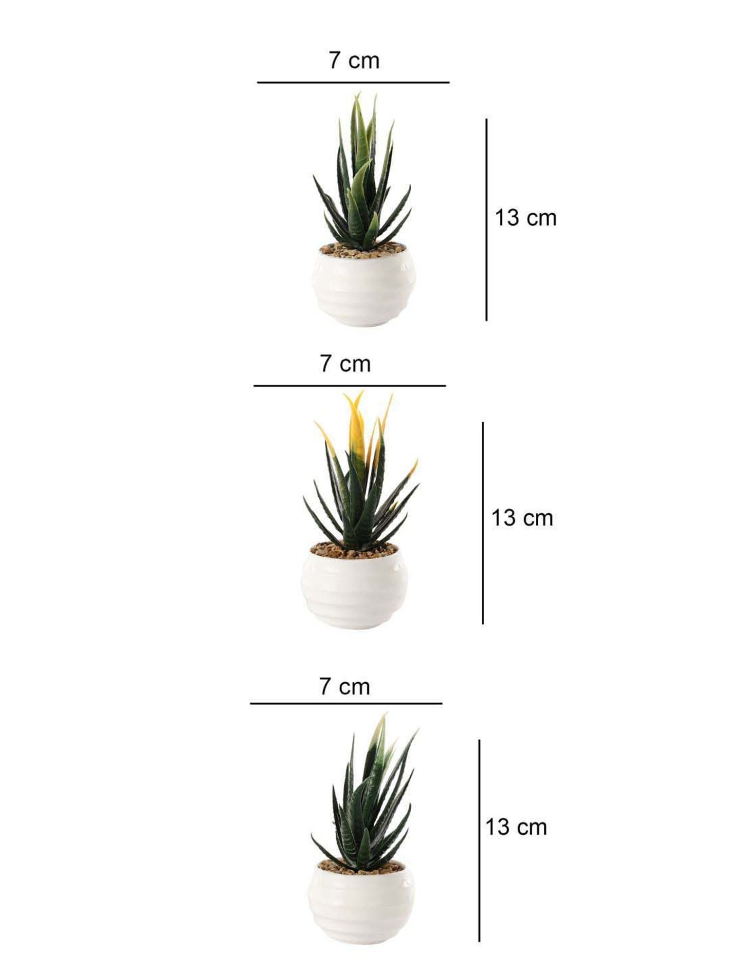 Mud Pie The Guys Hanging Frame