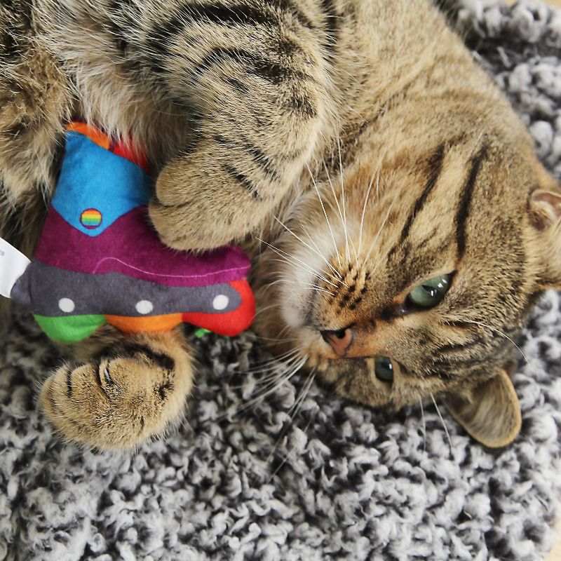 Quirky Kitty Roll with Pride Cat Toy - Blue