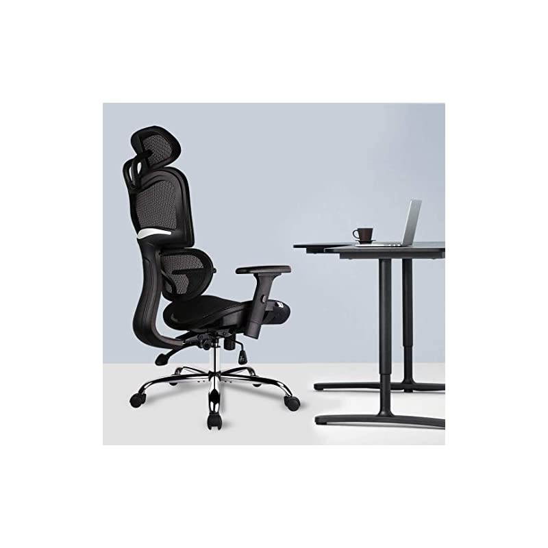 Chair, Ergonomics Mesh Chair Computer Chair Desk Chair High Back Chair w/Adjustable Headrest and Armrest