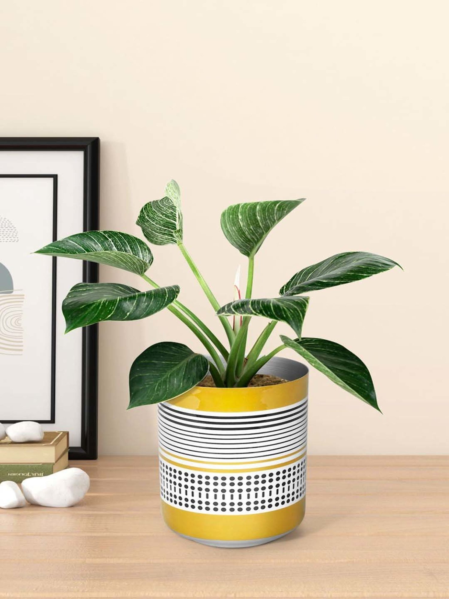 Living Scapes by Pantaloons Yellow Iron Planter