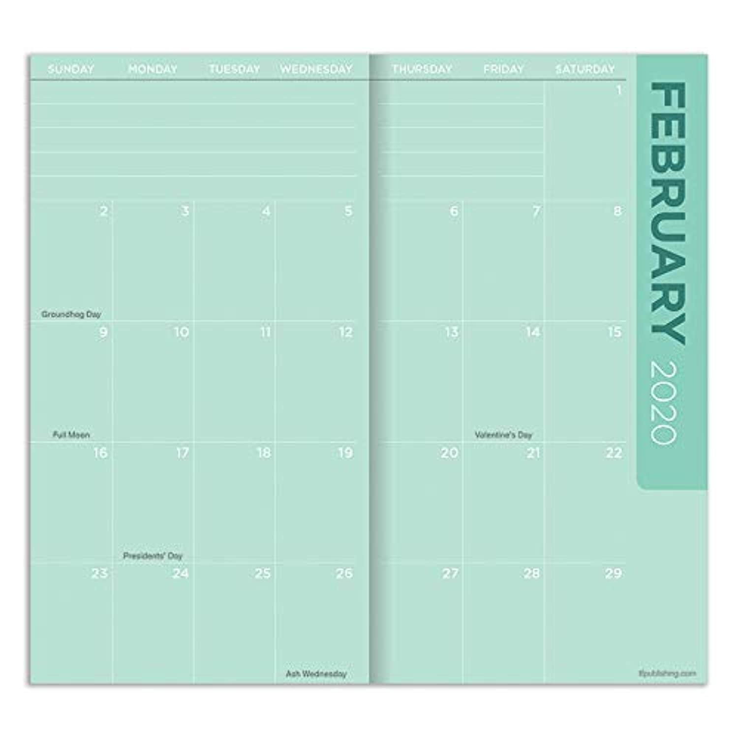 2020-2021 Kittens 2-Year Small Monthly Planner