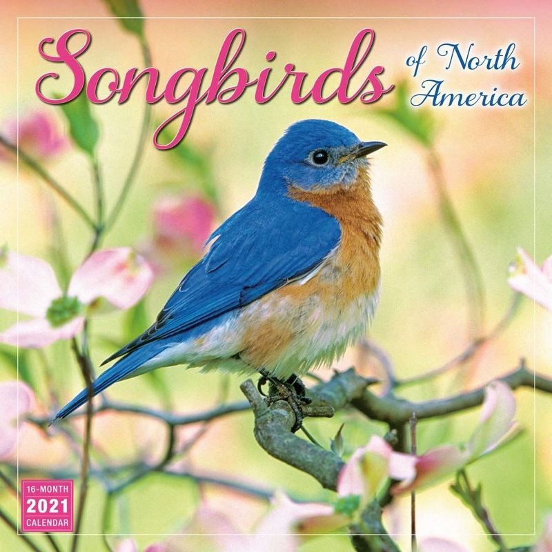 Sellers Publishing 2021 Songbirds of North America 16-Month Wall Calendar Sellers Publishing