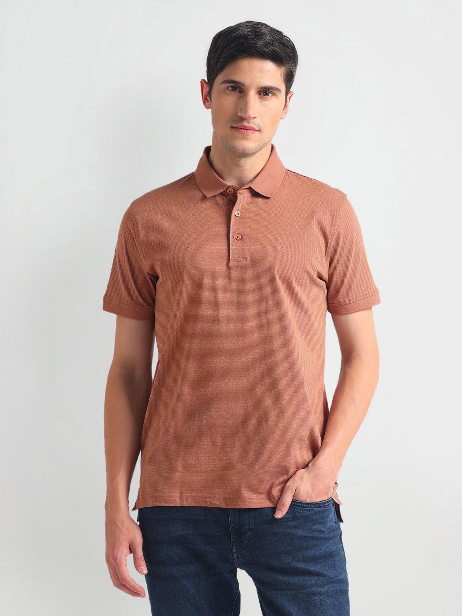 Arrow Brown Cotton Regular Fit Striped Polo T-Shirt
