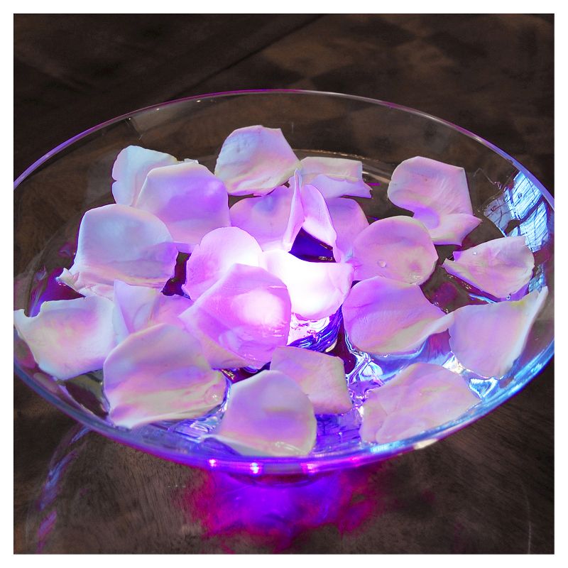 2ct Multi Color LED Battery Control Lights