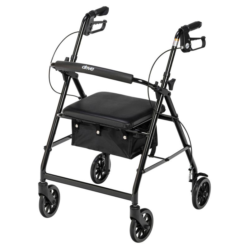 Drive Medical Walker Rollator with 6" Wheels, Fold Up Removable Back Support and Padded Seat, Black