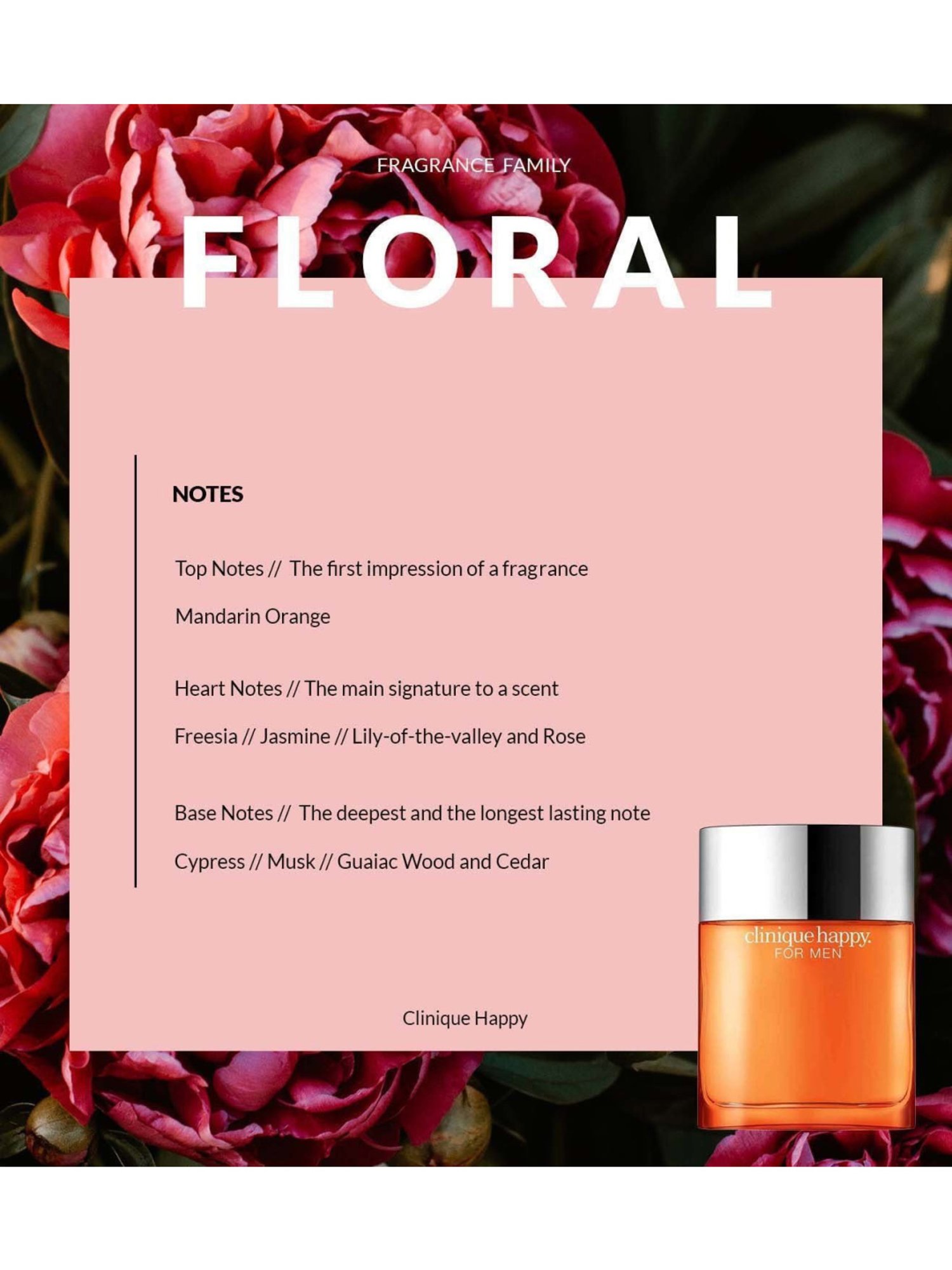 Jean Paul Gaultier Divine Eau de Parfum for Women - 100 ml