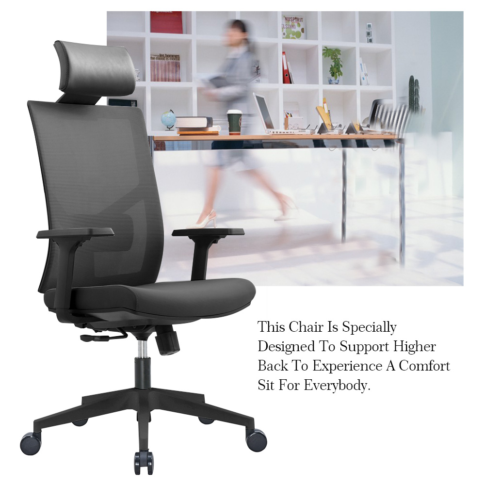 Ergonomic Multi Function Mesh Office Chair with Lumbar Support, Adjustable Armrest (With Headrest, Black)