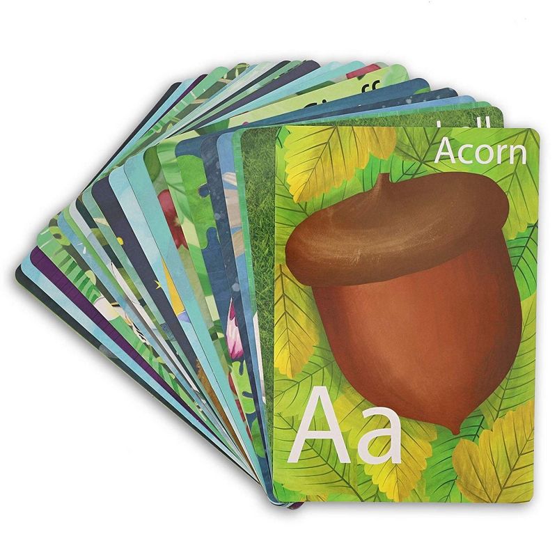 Top Trumps Wildlife Top Trumps Card Game Bundle | Bugs | Predators | North American Wildlife